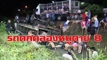 คลิป ฝนตกหนักรถบรรทุกหมูเสียหลักตกคลองหมูจมน้ำตาย 8 ตัว