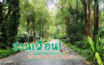 ชวนเพื่อน! เดินสวนป่า \'คำแสด ริเวอร์แคว รีสอร์ท\' สูดอากาศบริสุทธิ์ท่ามกลางธรรมชาติ