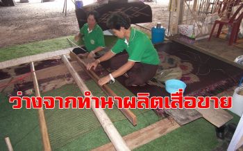 ชาวนาอำนาจเจริญไม่งอมืองอเท้าว่างจากทำนาผลิตสื่อกกขาย