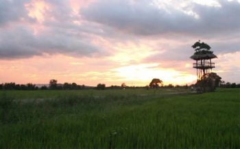 สุดฟิน!ชมแสงอาทิตย์สีทองใกล้ลับขอบฟ้า บนหอคอยชมวิว360องศากลางทุ่งนา