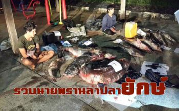 คลิป \'หน.วิเชียร\' จับแก๊งนายพรานล่า\'ปลายักษ์\'กลางป่าทุ่งใหญ่