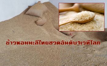 ‘ข้าวหอมมะลิไทย’ชวดอันดับ 1 เวทีโลก