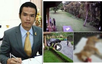 เปิดข้อกฎหมายผิด-ไม่ผิด! เจ้าของตีสุนัขตาย เหตุกัดลูก