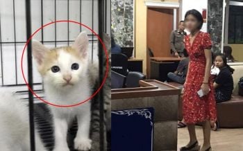 ‘ดีเจซัน’รอดนอนคุก ได้ประกัน แฉเจอหนังสือ2เล่มสอนปรุง-ทรมานสัตว์