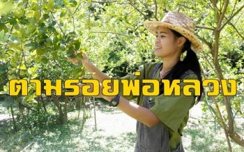 สาวน้อยสิงห์บุรี \'ทิ้งชอล์ค\' จับจอบสร้างสวนเกษตรอินทรีย์ตามรอย \'พ่อหลวง ร.9\'