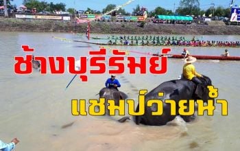 เริ่มแล้วแข่งเรือยาว-ช้างว่ายน้ำ นทท.แห่ชมคึกคัก คาดเงินสะพัดกว่า 30 ล้าน
