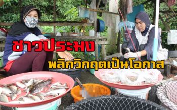 พลิกวิกฤตเป็นโอกาส! ชาวประมงจับปลาน้ำจืดวางขายริมถนนฟาดกำไร1,000-1,500ต่อวัน