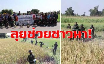 มทบ.28 สุดเท่!ใช้เครื่องเกี่ยวข้าว ออกไปช่วยชาวบ้านแทนขาดแรงงาน