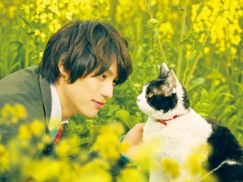 เปิดโปรไฟล์ เจ้าเหมียว\'นานะ\' แมวจอมหยิ่ง จาก The Travelling Cat Chronicles