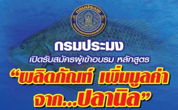 กรมประมง...เปิดอบรมฟรี! หลักสูตร\'ผลิตภัณฑ์ เพิ่มมูลค่าจากปลานิล\'