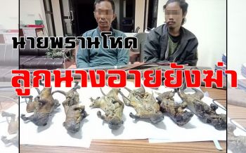 คลิป ลูกนางอายยังฆ่า! จนท.จับ 2 นายพรานโหดกลางป่าพร้อมซากสัตว์น้อย