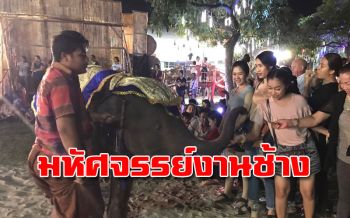 นทท.ร่วมงาน ‘มหัศจรรย์งานช้างสุรินทร์’ปี 2561