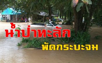 คลิป กู้ระทึก!! น้ำป่าทะลักท่วมสิชล กระบะจอดหน้าบ้านจมครึ่งคัน