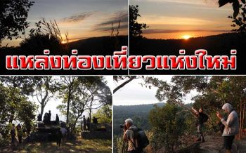 ชวนชมพระอาทิตย์ขึ้นที่\'ผาชมพูเขียว\'  สัมผัสอากาศเย็นสบาย ทามกลางพันธุ์ไม้หายาก