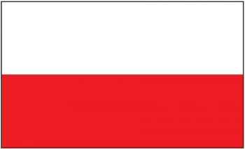 The 100th Anniversary of Regaining Independence by Poland