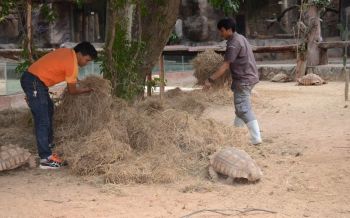 สวนสัตว์โคราชเร่งหาวิธีคลายหนาวให้สัตว์ป่า หลังอุณหภูมิลด