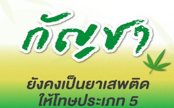 เข้าใจง่ายๆสาระสำคัญร่างกฎหมายยาเสพติด...‘กัญชา’