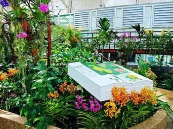 วว. มอบของขวัญต้อนรับปีใหม่ 2562 ชมฟรี อาคารเฉลิมพระเกียรติ  แหล่งเรียนรู้ด้านเกษตร-พฤกษศาสตร์แห่งใหม่ของไทย