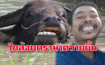 \'พี่คล้าว\'แฮปปี้หลังตร.คืน\'เจ้าทองคำ\' ควายยิ้มสุดรักกลับสู่อ้อมกอด