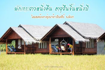 มา\'หนำ นาทอน\'แล้วคุณจะติดใจ พักโฮมสเตย์กลางทุ่งนาข้าวอินทรีย์