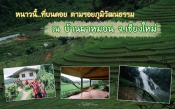 หนาวนี้...ที่บนดอย ตามรอยภูมิวัฒนธรรม  ที่ผาหมอน จ.เชียงใหม่