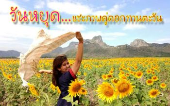 เที่ยววันหยุดสุดชิค! สัมผัสลมหนาวถ่ายรูปคู่ดอกทานตะวันทุ่งเขาจีนแล‘ลพบุรี’