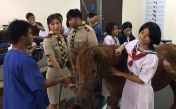 TSPCAร่วมจัดฝึกอบรมลูกเสือสวัสดิภาพสัตว์ เพื่อสวัสดิภาพคน One Day Camp