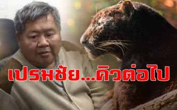ศาลทองผาภูมิสืบพยานโจทก์คดีเสือดำนัดสุดท้าย \'เสี่ยเปรมชัย\' จ่อคิวต่อไป