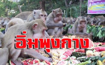 คึกคัก! ‘พ่อเมืองจอมบึง’เลี้ยงโต๊ะจีนเจ้าจ๋อลิงจบมหาลัย
