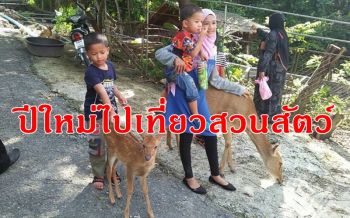 อสส.จัดกิจกรรมส่งความสุขเทศกาลปีใหม่เปิด 6 สวนสัตว์ต้อนรับนักท่องเที่ยวมา 4 จ่าย 3