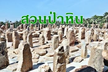 เดินหน้าพัฒนาแหล่งเที่ยว! สวนนงนุชพัทยาผุด \'สวนป่าหินธรรมชาติ\' รับ นทท.ทุกมุมโลก