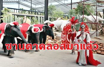 นำลูกช้างแสนรู้ 5 เชือกแต่ง \'ซานตาคลอส\' สร้างสีสันรับเทศกาลคริสต์มาส