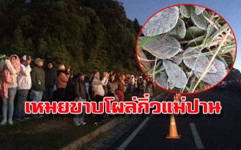 นทท.แห่ชม! ‘เหมยขาบ’โผล่ ‘กิ่วแม่ปาน’ เป็นวันที่4