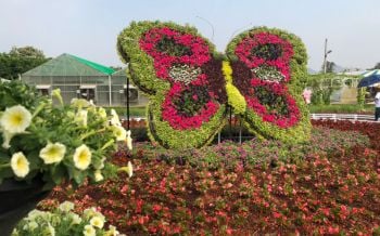 ว้าว...ท่องเที่ยว\'เจียไต๋แฟร์\'!\'FARMNIVAL\'เทคโนฯเกษตรแนววันเดอร์แลนด์