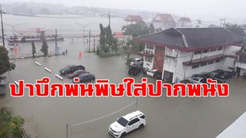 คลิป พายุโซนร้อน \'ปาบึก\' ในพื้นที่ปากพนังน้ำท่วมหลายจุด