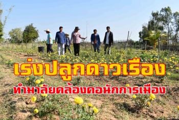 เร่งบำรุงไม้ดอกไม้ประดับขายแม่ค้าทำพวงมาลัยคล้องคอนักการเมืองช่วงหาเสียง