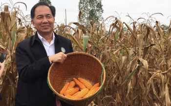 \'รมว.เกษตรฯ\'​ ลงแขกเก็บข้าวโพดเลี้ยงสัตว์แปลงนำร่องปัดจัดฉากสร้างผลงาน