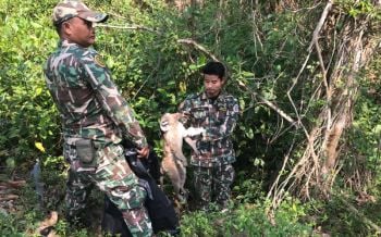เจอเพิ่มอีกศพ‘ลิงแสม’ สุดอนาถทุรนทุรายตายคาต้นไม้