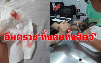 ฝุ่นPM 2.5 พ่นพิษ! ทำกระต่ายโพรงจมูกบวมแดง ซ้ำยังจามเป็นเลือด