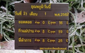 หนาวถึงกระดูก!! อินทนนท์เช้าวันนี้0​องศาฯ