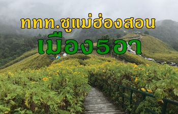 ททท.ชูการเที่ยวเมืองรองแม่ฮ่องสอน \'เมือง5อา\' ใครได้มาอายุยืน