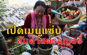 เปิดแล้ว \'เทศกาลกินสตรอเบอรี่ ภูหินร่องกล้า\' ชิมเมนูเด็ดสุดแซ่บ