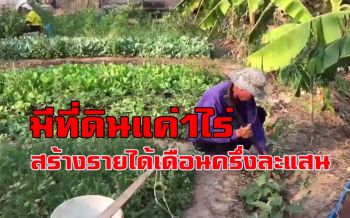 ชาวนาเมืองช้างเนรมิตรที่ดิน1ไร่ ปลูกผักปลอดสารพิษขาย รายได้เดือนละครึ่งแสน! (ชมคลิป)
