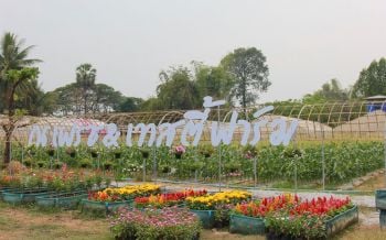 ไร่แตงโมนครพนมจัด\'วาเลนไทน์\'แหวกแนว! เสิร์ฟเมนูพิเศษเอาใจ\'คู่รัก-คู่แค้น\'