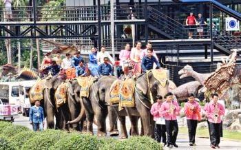 วาเลนไทน์แสนหวาน! สวนนงนุชจัดงานจดทะเบียนสมรสบนหลังช้าง