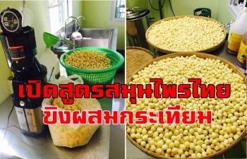 น้ำสมุนไพรไทย \'ขิงผสมกระเทียม\' สินค้าโอทอปสร้างรายได้ให้ผู้สูงอายุในชุมชนสมุทรสาคร