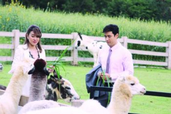 ‘แอนดริว+เชียร์’  จับคู่เคมีใหม่ใน ‘ปมรักสลับหัวใจ’