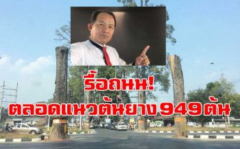 ‘พี่ศรี’เดือดตัดต้นยาง ยื่นศาลปกครอง! สั่งกรมทางหลวงรื้อถนนคอนกรีต