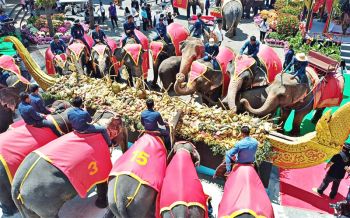 สวนนงนุชพัทยาจัดงาน\'วันช้างไทย\'พร้อมพิธีฮ้องขวัญช้างเลี้ยงโต๊ะจีนบุพเฟ่ต์ผลไม้