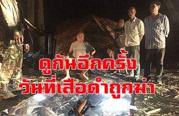 คลิป ย้อนดูกันอีกครั้งวันที่ \'เสือดำ\' ถูกฆ่าถลกหนังกลางป่าทุ่งใหญ่นเรศวร